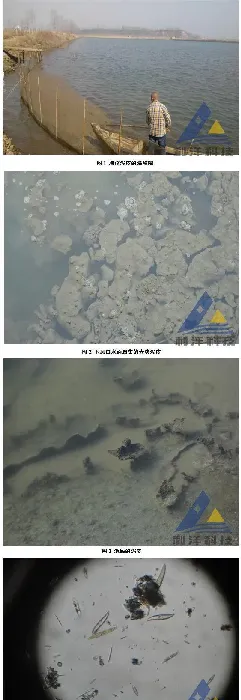 春季海蜇圈泥皮处理一例