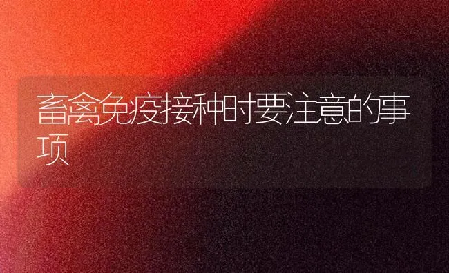 畜禽免疫接种时要注意的事项 | 家禽养殖