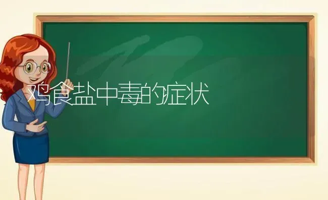 鸡食盐中毒的症状 | 家禽养殖