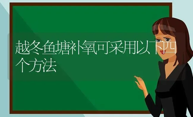 越冬鱼塘补氧可采用以下四个方法 | 动物养殖百科