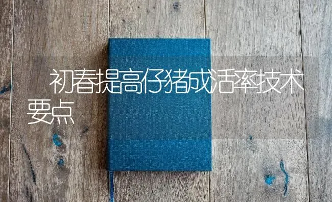 初春提高仔猪成活率技术要点 | 家畜养殖