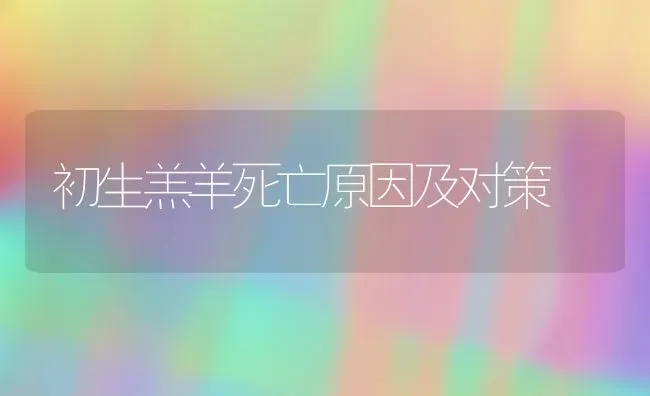 初生羔羊死亡原因及对策 | 家畜养殖