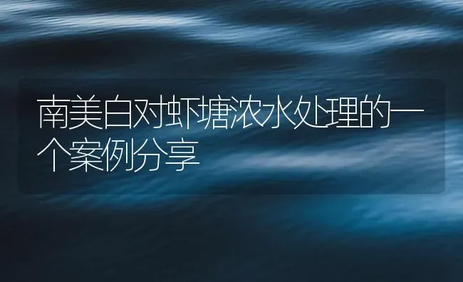 南美白对虾塘浓水处理的一个案例分享 | 海水养殖