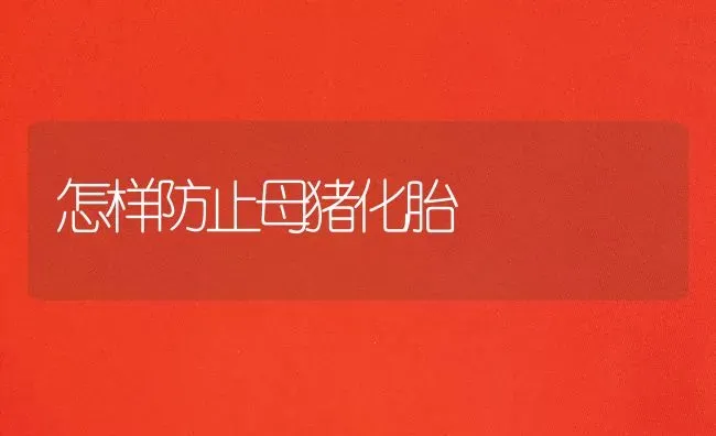 怎样防止母猪化胎 | 家畜养殖