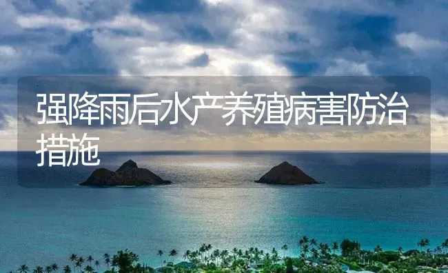 强降雨后水产养殖病害防治措施 | 养殖病虫害防治