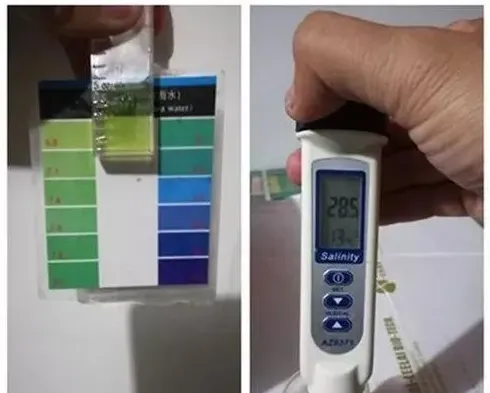 海参度夏风险大？或许您可以试试这样做！