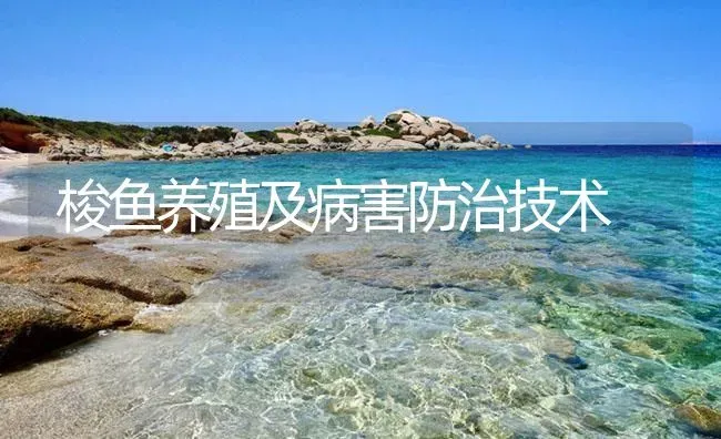 梭鱼养殖及病害防治技术 | 海水养殖