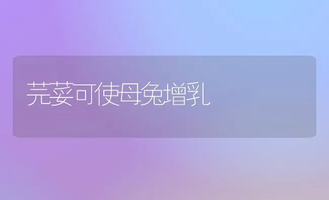 芫荽可使母兔增乳 | 家畜养殖