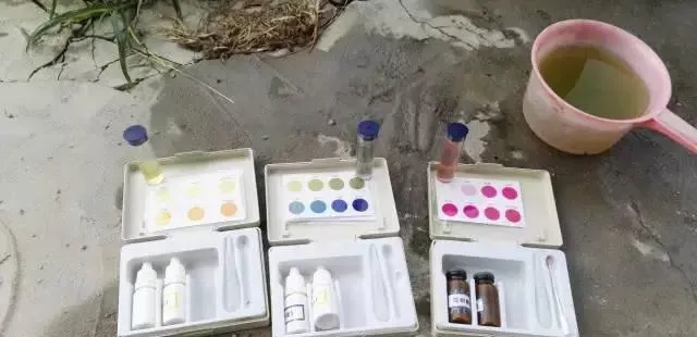 强力倍生源处理倒藻氨氮高南美白对虾不吃料案例分享