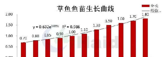 草鱼开花正当时，成活率达到5成，这几点很关键！