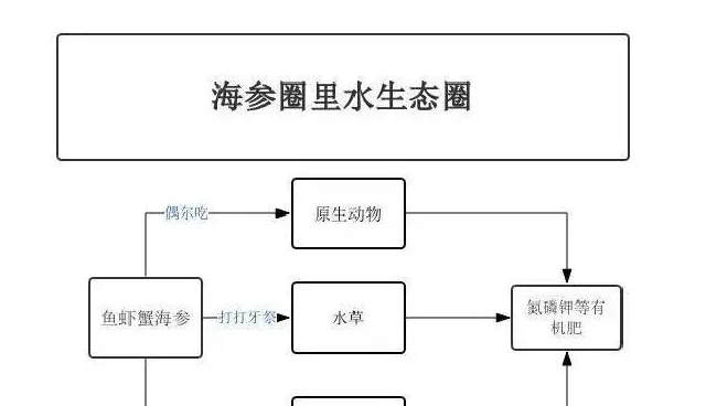 控草找到海参病因才有好办法