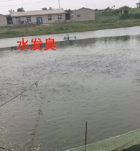 阴雨天鱼虾应激反应原因分析