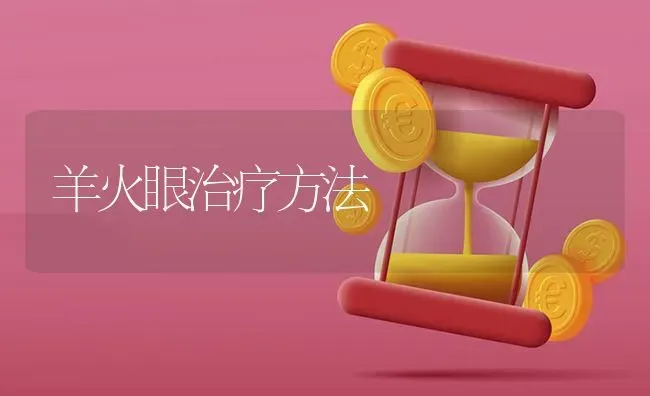 羊火眼治疗方法 | 家畜养殖