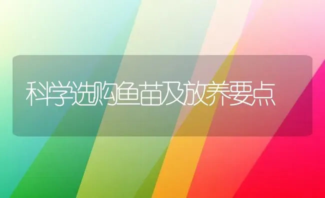 科学选购鱼苗及放养要点 | 淡水养殖