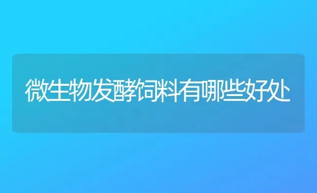 微生物发酵饲料有哪些好处 | 动物养殖饲料