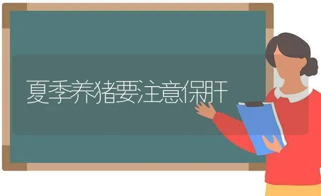 夏季养猪要注意保肝 | 家畜养殖