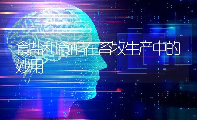 食盐和食醋在畜牧生产中的妙用 | 家畜养殖