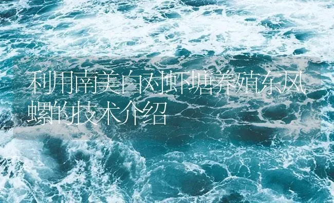 利用南美白对虾塘养殖东风螺的技术介绍 | 海水养殖