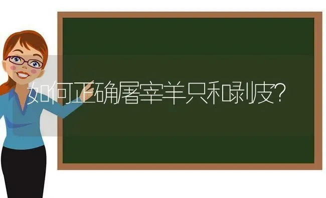 如何正确屠宰羊只和剥皮？ | 家畜养殖