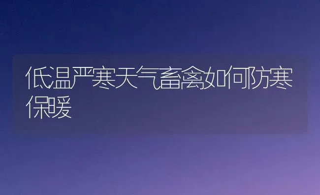 低温严寒天气畜禽如何防寒保暖 | 家禽养殖