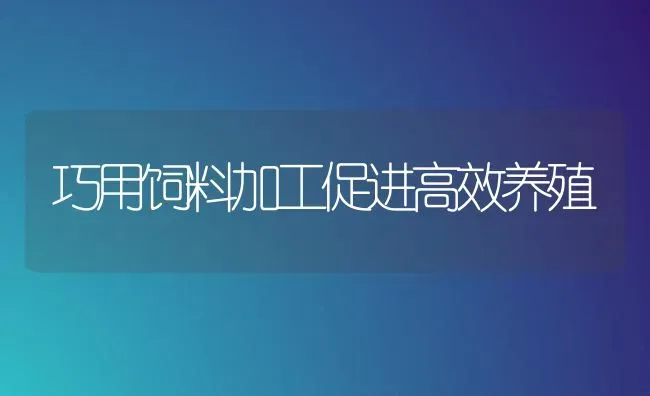 巧用饲料加工促进高效养殖 | 动物养殖饲料