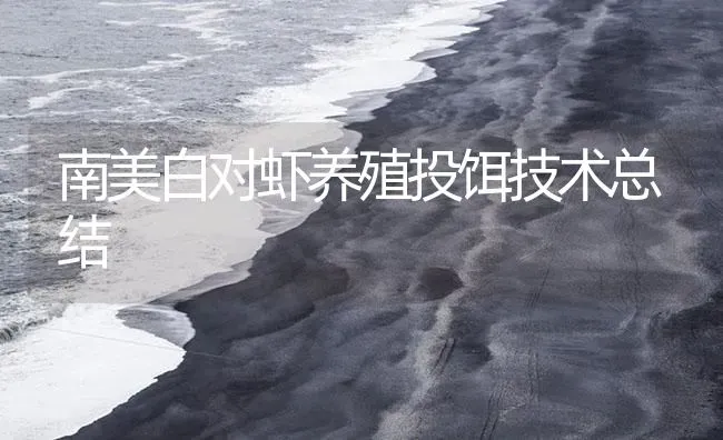 南美白对虾养殖投饵技术总结 | 海水养殖