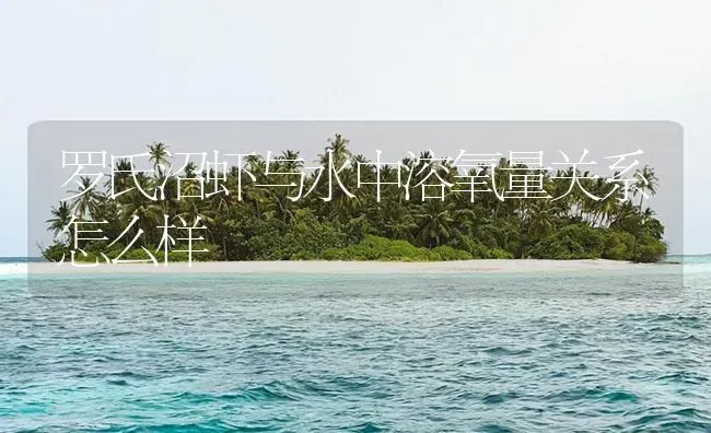 罗氏沼虾与水中溶氧量关系怎么样 | 海水养殖