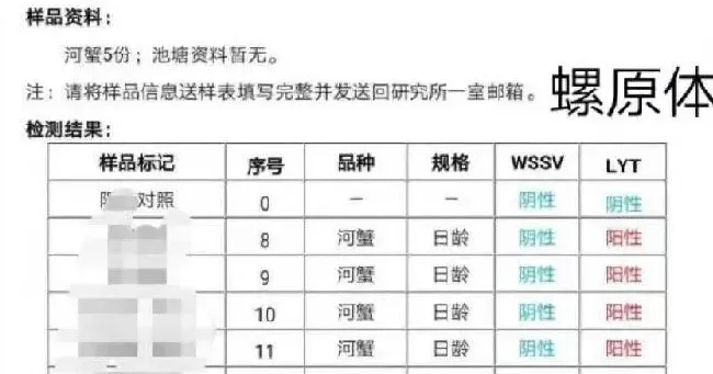 入秋后河蟹池塘发病原因及处理方案