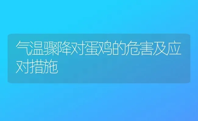 气温骤降对蛋鸡的危害及应对措施 | 家禽养殖