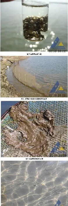 春季海蜇圈泥皮处理一例