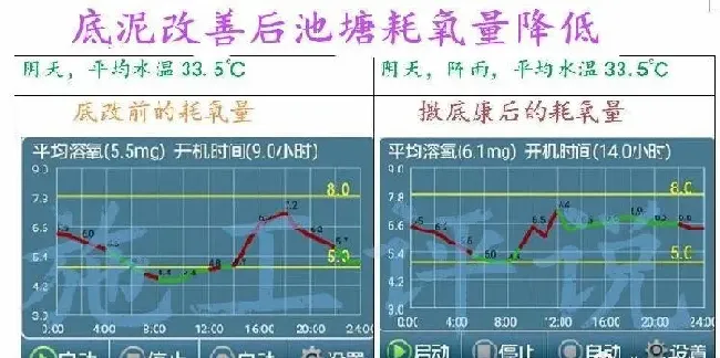 有人养对虾一亩几千上万的纯利，有的人却不断交学费，新人如何迅速上手？