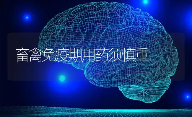 畜禽免疫期用药须慎重 | 养殖病虫害防治
