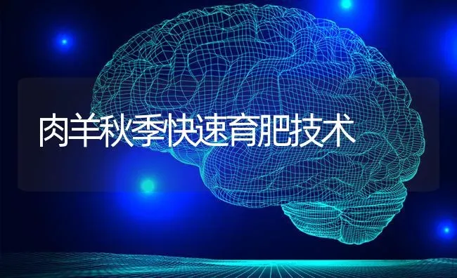 肉羊秋季快速育肥技术 | 家畜养殖