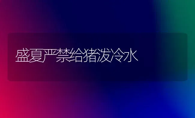 盛夏严禁给猪泼冷水 | 家畜养殖