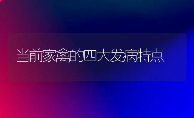 当前家禽的四大发病特点 | 家禽养殖