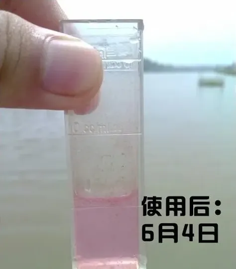 一例四大家鱼池塘亚硝酸盐高顺利处理的案例