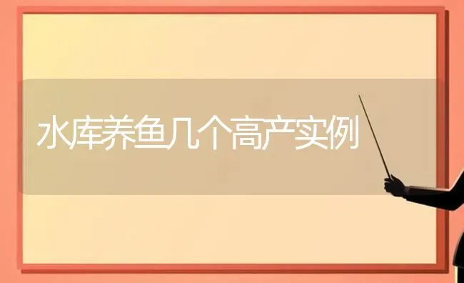 水库养鱼几个高产实例 | 动物养殖百科