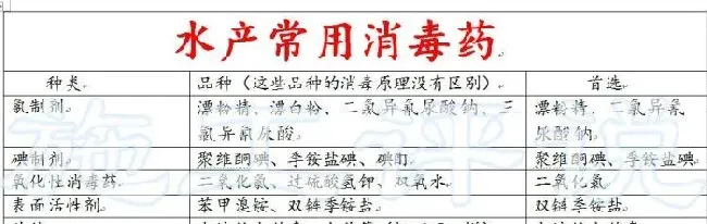 不消毒和不用药就是健康养殖方法吗？水产养殖业能否彻底抛弃消毒药？