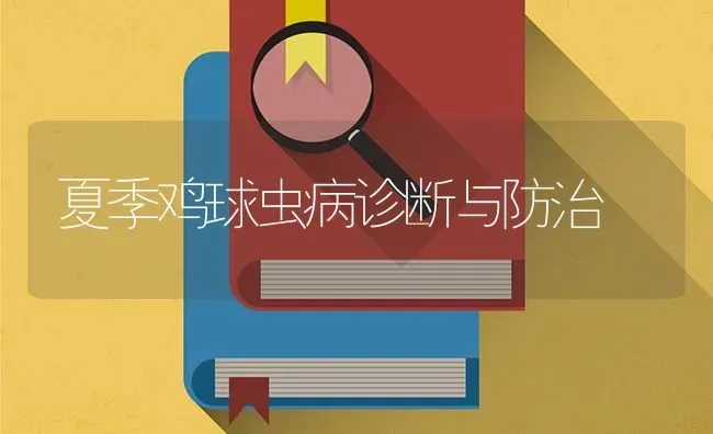 夏季鸡球虫病诊断与防治 | 家禽养殖