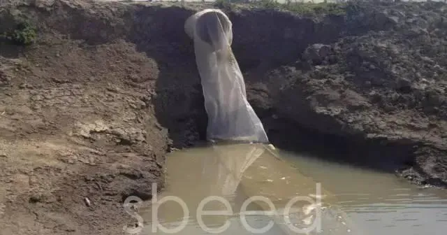 暴雨能对河蟹塘产生的八大威胁及防护措施