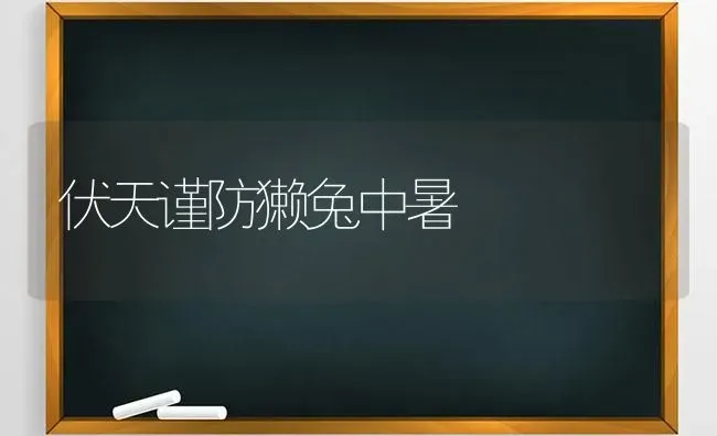 伏天谨防獭兔中暑 | 家畜养殖