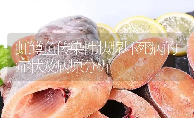 虹鳟鱼传染性胰腺坏死病的症状及病原分析 | 淡水养殖