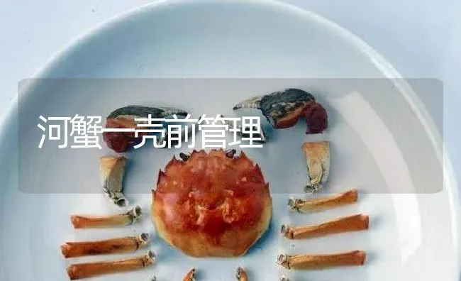 河蟹一壳前管理 | 淡水养殖