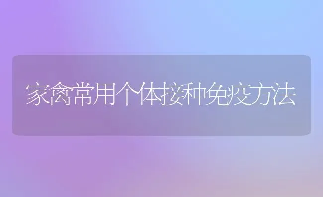 家禽常用个体接种免疫方法 | 家禽养殖