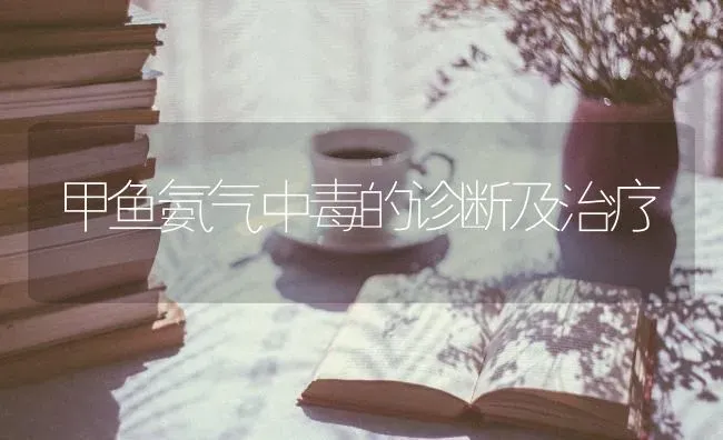 甲鱼氨气中毒的诊断及治疗 | 淡水养殖