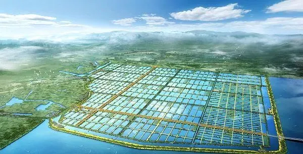 高温天气河蟹病害防控技术要点