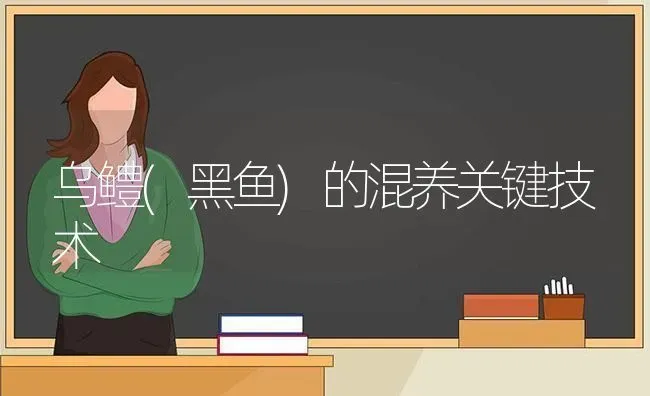 乌鳢(黑鱼)的混养关键技术 | 淡水养殖