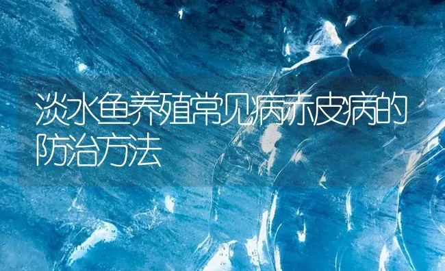 淡水鱼养殖常见病赤皮病的防治方法 | 养殖病虫害防治