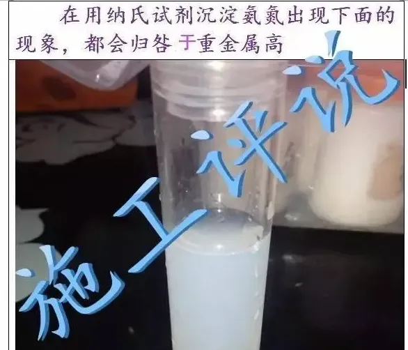 重金属是南美白对虾养殖过程中的大老虎？