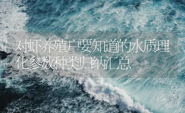 对虾养殖户要知道的水质理化参数种类归纳汇总 | 海水养殖